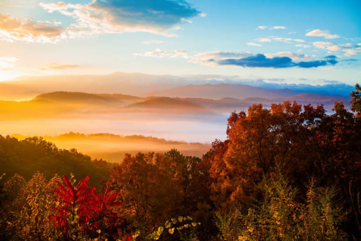 A breathtaking landscape with mountains aglow in sunset colors and a foreground of vibrant fall foliage. The scene evokes the magic of evening in the Smokies, with wide-open skies and dramatic natural beauty.